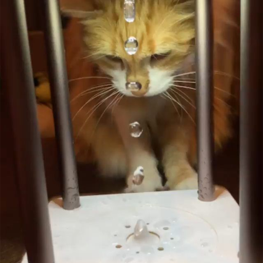 Anti Gravity Floating Levitating Water Drops Anti Gravity Floating Levitating Water Drops